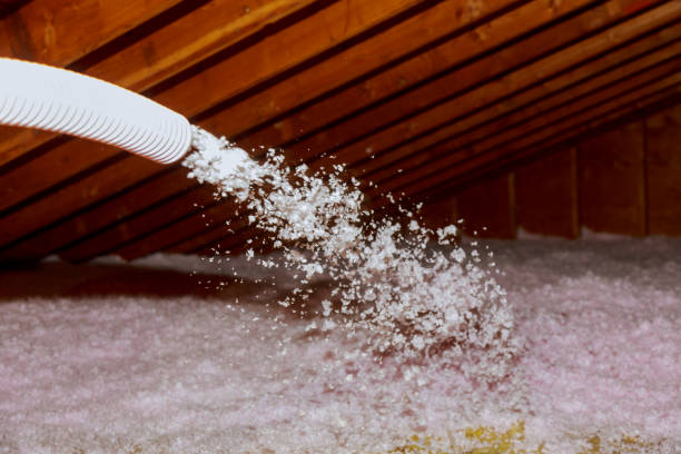 Best Spray Foam Insulation  in San Joaquin, CA